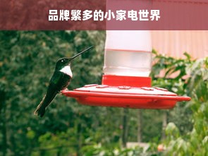 餐饮品牌道歉案件，从错误到改正，真诚赢得人心