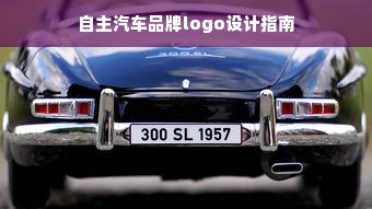 自主汽车品牌logo设计指南