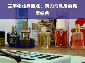 三字化妆品品牌，魅力与品质的完美结合