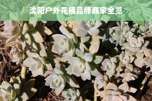 沈阳户外花桶品牌商家全览