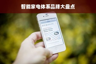 智能家电体系品牌大盘点