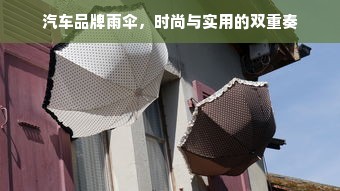 汽车品牌雨伞，时尚与实用的双重奏