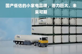 国产低估的小家电品牌，潜力巨大，未来可期