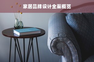家居品牌设计全案概览
