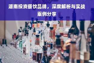 湖南投资餐饮品牌，深度解析与实战案例分享