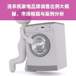 洗衣机家电品牌销售比例大揭秘，市场格局与案例分析