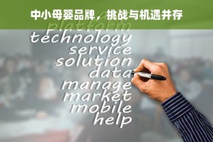 中小母婴品牌，挑战与机遇并存