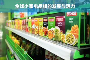 全球小家电品牌的发展与魅力