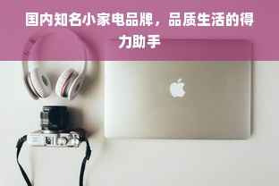 国内知名小家电品牌，品质生活的得力助手
