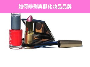 如何辨别真假化妆品品牌
