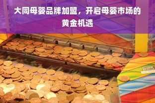 大同母婴品牌加盟，开启母婴市场的黄金机遇