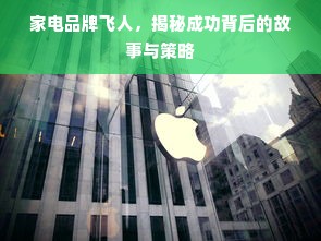 家电品牌飞人，揭秘成功背后的故事与策略