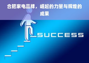 合肥家电品牌，崛起的力量与辉煌的成果