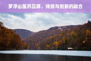 干洗机行业全国前十品牌盘点，品质与服务双优之选