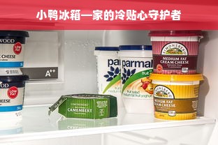 小鸭冰箱—家的冷贴心守护者