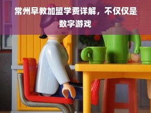 常州早教加盟学费详解，不仅仅是数字游戏