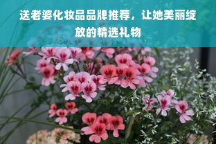 送老婆化妆品品牌推荐，让她美丽绽放的精选礼物