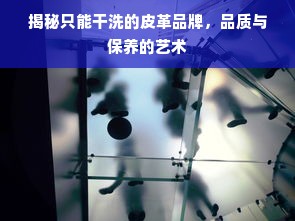 揭秘只能干洗的皮革品牌，品质与保养的艺术