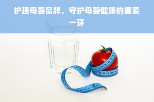 护理母婴品牌，守护母婴健康的重要一环