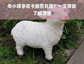 羊小咩享花卡能否兑现？一文带你了解清楚