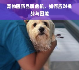 加盟亲子游泳早教报价单详解，价格、案例，你关心的都在这里