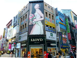 韩国户外品牌大盘点