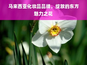 马来西亚化妆品品牌，绽放的东方魅力之花