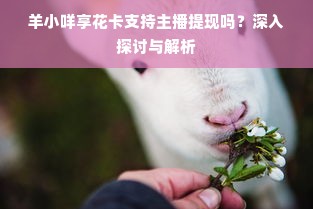 羊小咩享花卡支持主播提现吗？深入探讨与解析