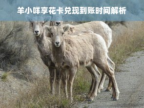 羊小咩享花卡兑现到账时间解析