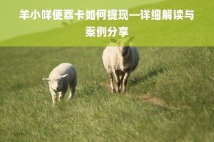 羊小咩便荔卡如何提现—详细解读与案例分享