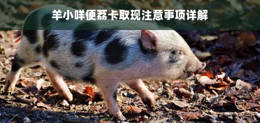 羊小咩便荔卡取现注意事项详解