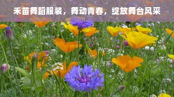 禾苗舞蹈服装，舞动青春，绽放舞台风采