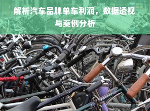 解析汽车品牌单车利润，数据透视与案例分析