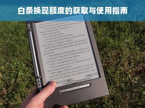 白条换现额度的获取与使用指南