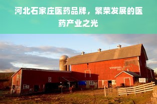 辽宁新西兰早教代理加盟，共创美好未来教育之路