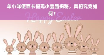 羊小咩便荔卡额度攻略，如何提高额度及提升方法大揭秘