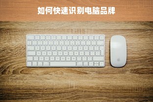 大容量冰箱选购指南，容量与品牌的完美结合