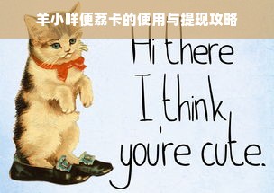 羊小咩便荔卡的使用与提现攻略