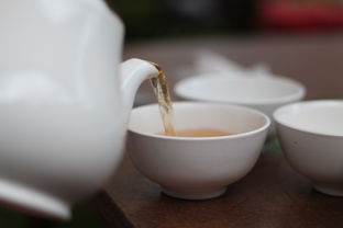 福鼎茶叶品牌大盘点，品味千年茶香，探寻知名品牌