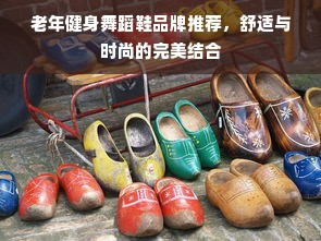 老年健身舞蹈鞋品牌推荐，舒适与时尚的完美结合