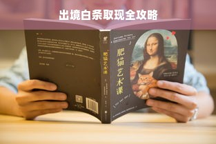 出境白条取现全攻略