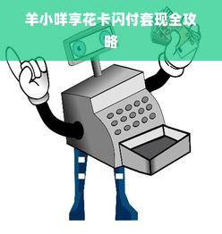 羊小咩享花卡闪付套现全攻略
