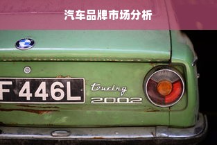 汽车品牌市场分析