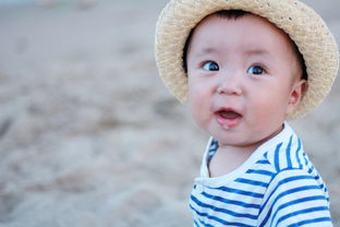 牡丹江幼儿早教加盟品牌深度解析
