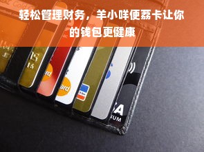 轻松管理财务，羊小咩便荔卡让你的钱包更健康