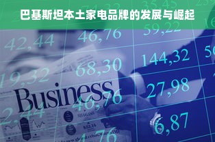 家居商场连锁品牌的成功之道