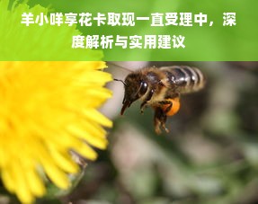 羊小咩享花卡取现一直受理中，深度解析与实用建议