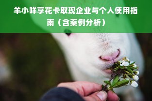 羊小咩享花卡取现企业与个人使用指南（含案例分析）