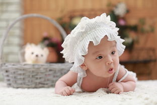 婴幼儿早教品牌加盟指南，如何选择合适的品牌合作共筑成功之路