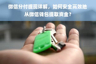 微信分付提现详解，如何安全高效地从微信钱包提取资金？